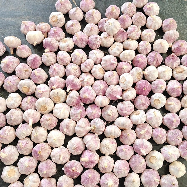 Huaang Food Processing најавува проширување на синџирот на снабдување со свеж лук