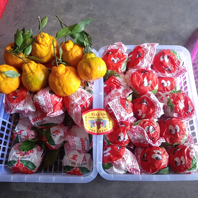 Fresh Honey Mandarin