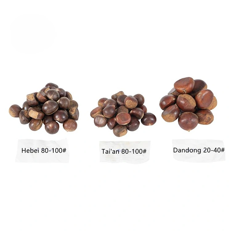 Premium Quality Chestnuts