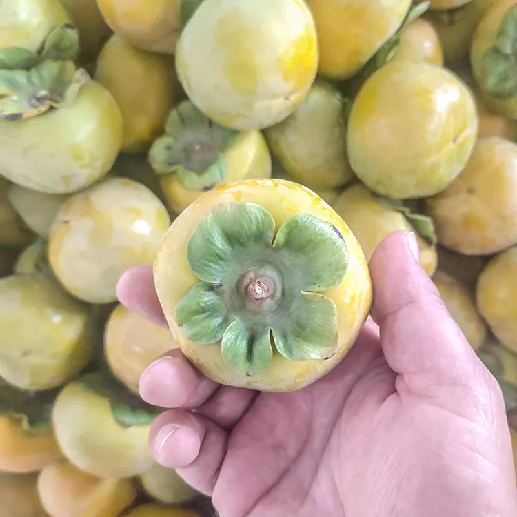 Премиум свеж крцкав Persimmon