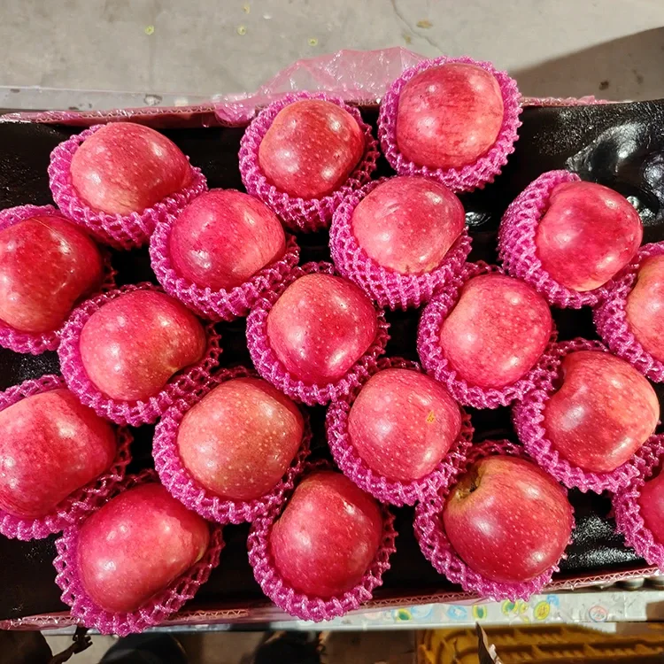 Супериорни свежи јаболка Jiguan